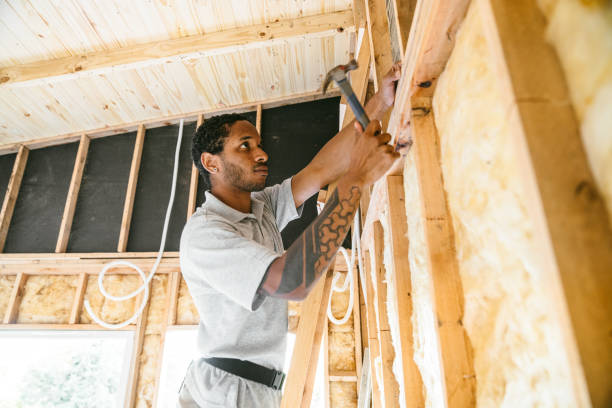 Best Cellulose Insulation  in Mendota Heights, MN