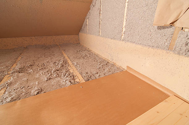 Best Home Insulation Services  in Mendota Heights, MN